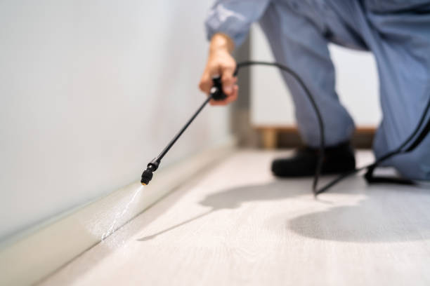 Licensed Rodent Control service in De Soto Parish County, LA - Nex Pest Control